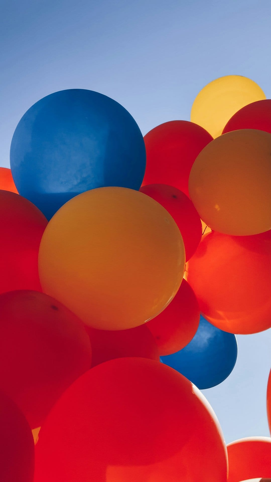 Red, orange, and blue balloons cluster together while floating upward against a solid clear sky backdrop.