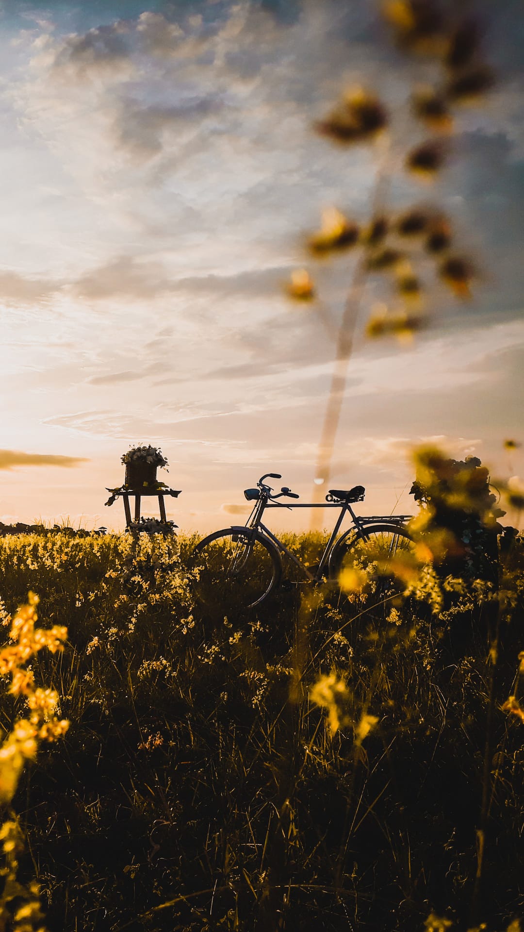 Vintage bicycle rests in a meadow of golden wildflowers under the warm, hazy glow of a summer sunset.