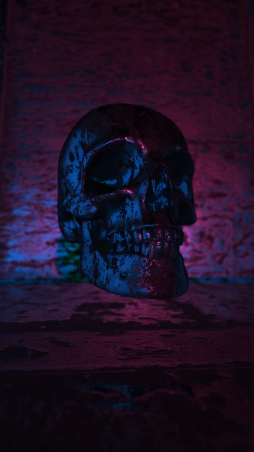 Weathered skull resting on a textured floor illuminated by sharp pink and blue neon lights from both sides.