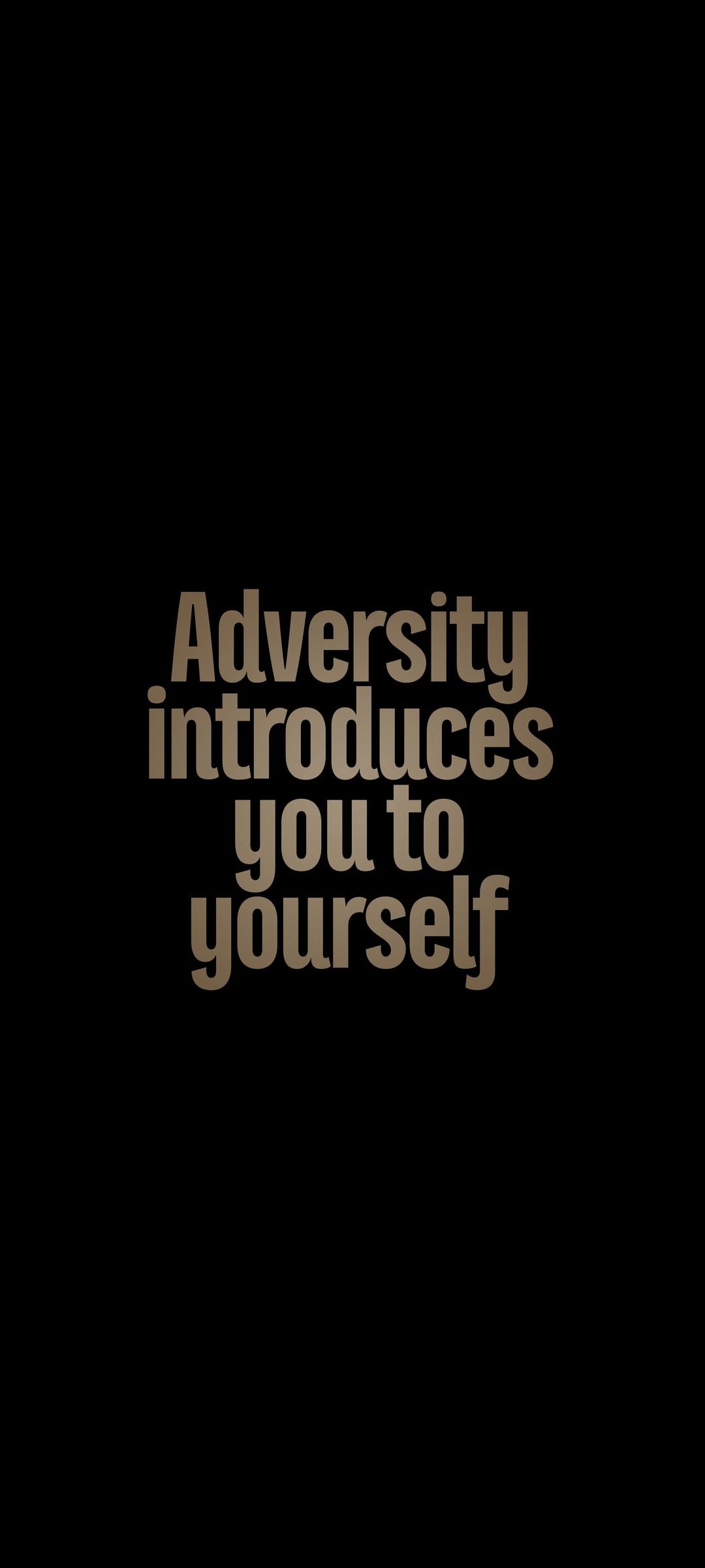 Metallic silver text reading Adversity introduces you to yourself centered on a solid black background.