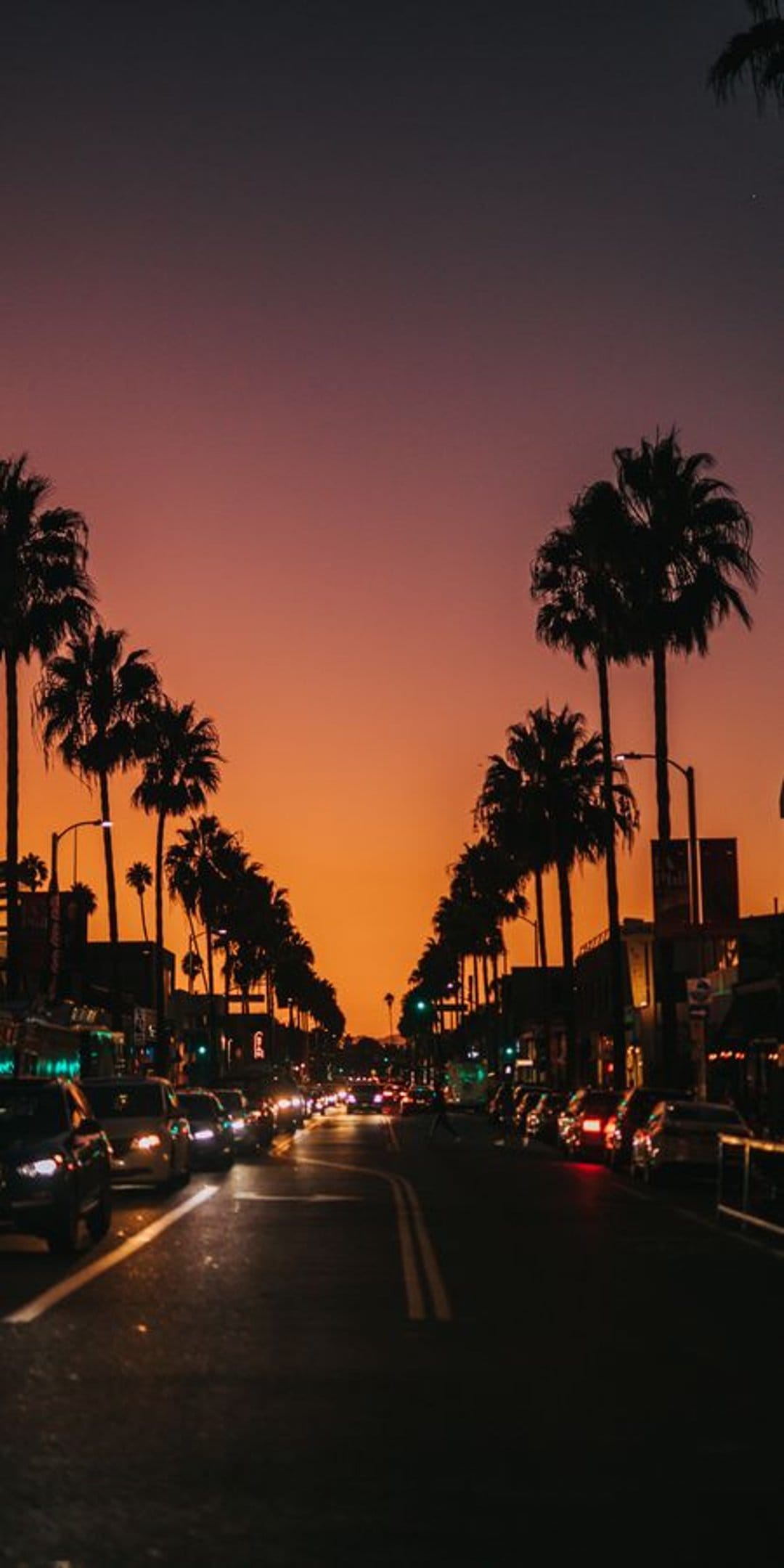 Palm trees silhouetted against a gradient orange and purple sky over a busy city road with blurred car lights.