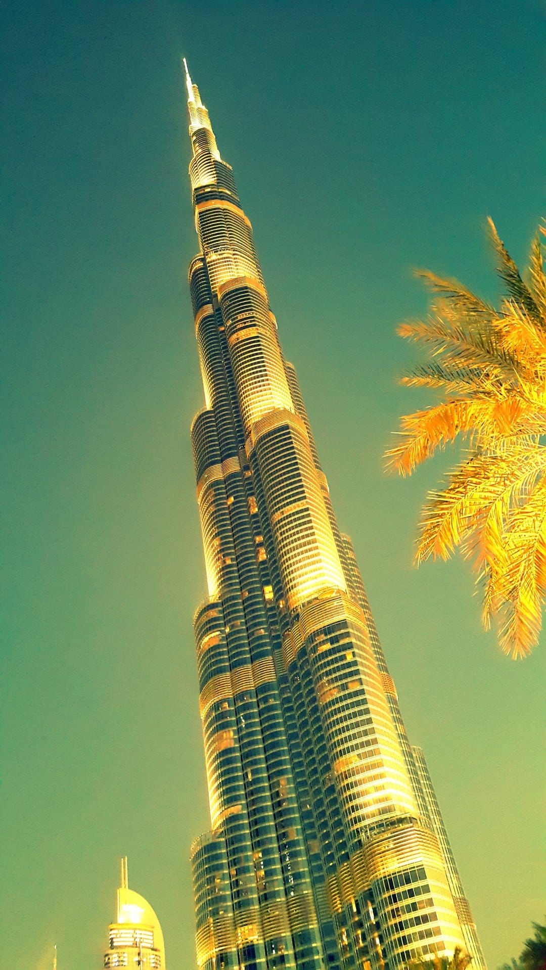 Burj Khalifa skyscraper towers over a green palm tree against a teal and orange sunset sky in Dubai city.