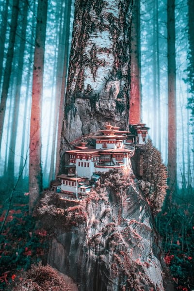 tree forest,beautiful wallpaper,trunk village,building,photoshop background,fantastic,fantasy,surrealism,nature,rock,city,iphone wallpaper