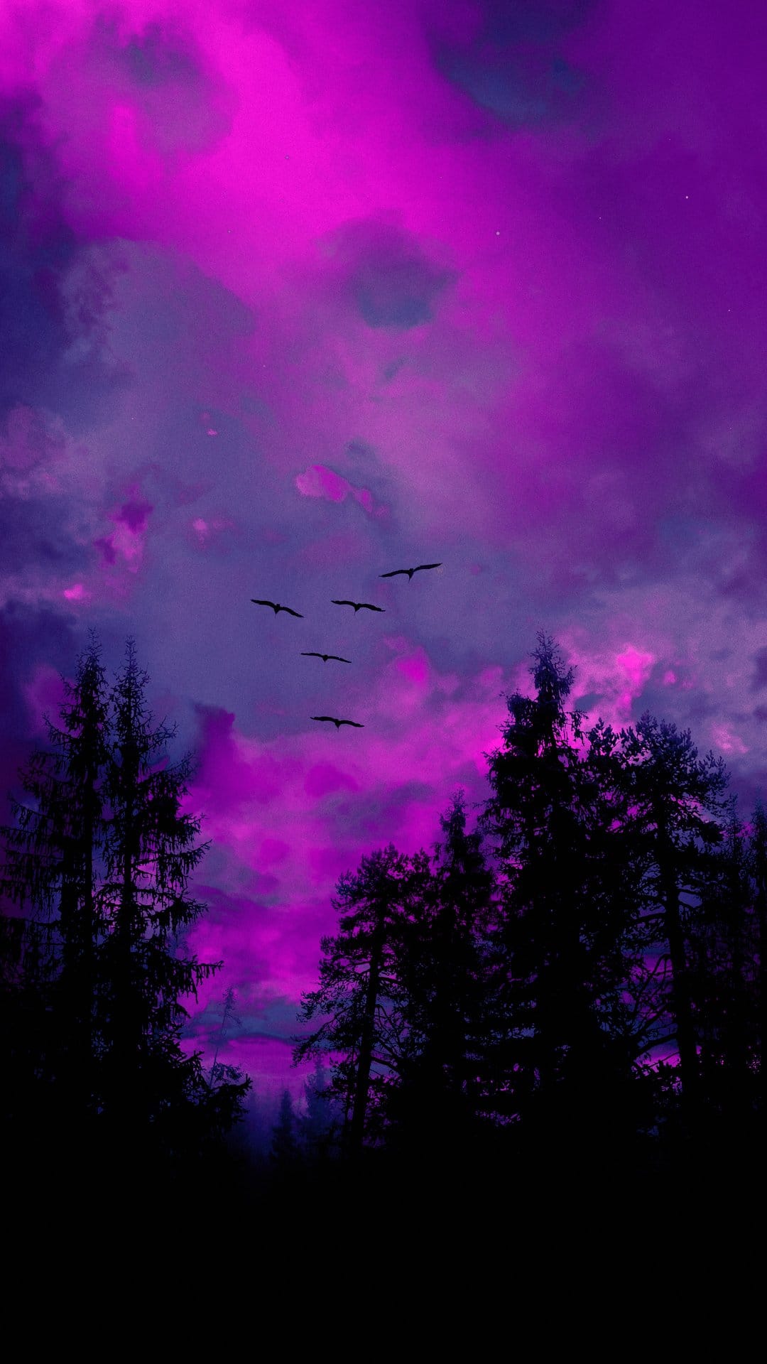 Birds soar in silhouette above dark forest trees under a luminous sky filled with purple and magenta clouds.