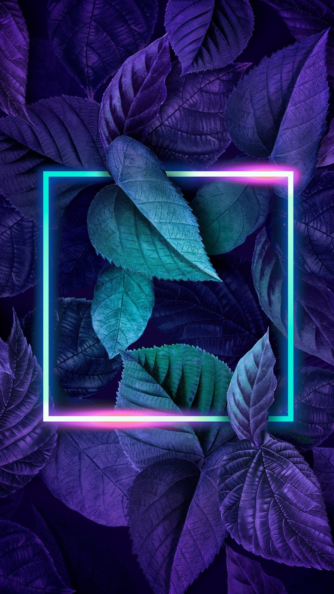 Glowing cyan and pink square frame centered over dark purple leaves with visible veins and moody lighting.