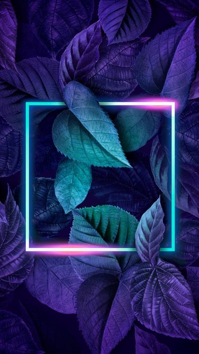 leaves,square,neon,glow,light,inst,inst314