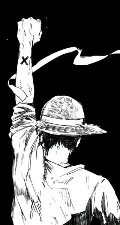 luffy,obe piece,back,art,black