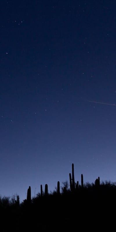 Cactus, Desert, Night sky, Stars, Silhouette, Nature, Southwest, Arid, Tranquil, Landscape, Outdoors, Serene, Dark, Botanical, Arizona, Sky, Vista, Celestial, Minimalist, Prickly