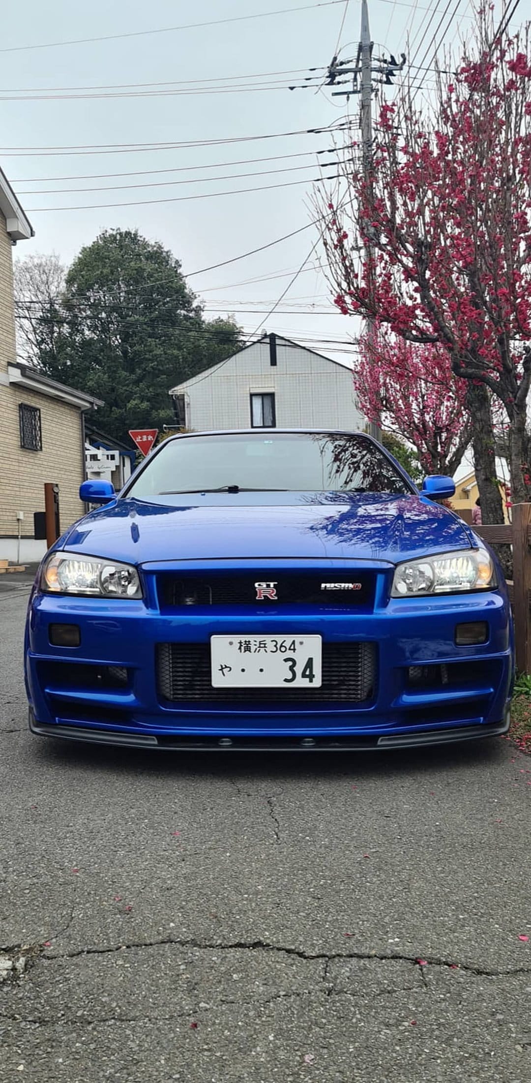 Blue Nissan Skyline R34 GT-R with a Japanese license plate parked on a cracked road near pink tree blossoms.