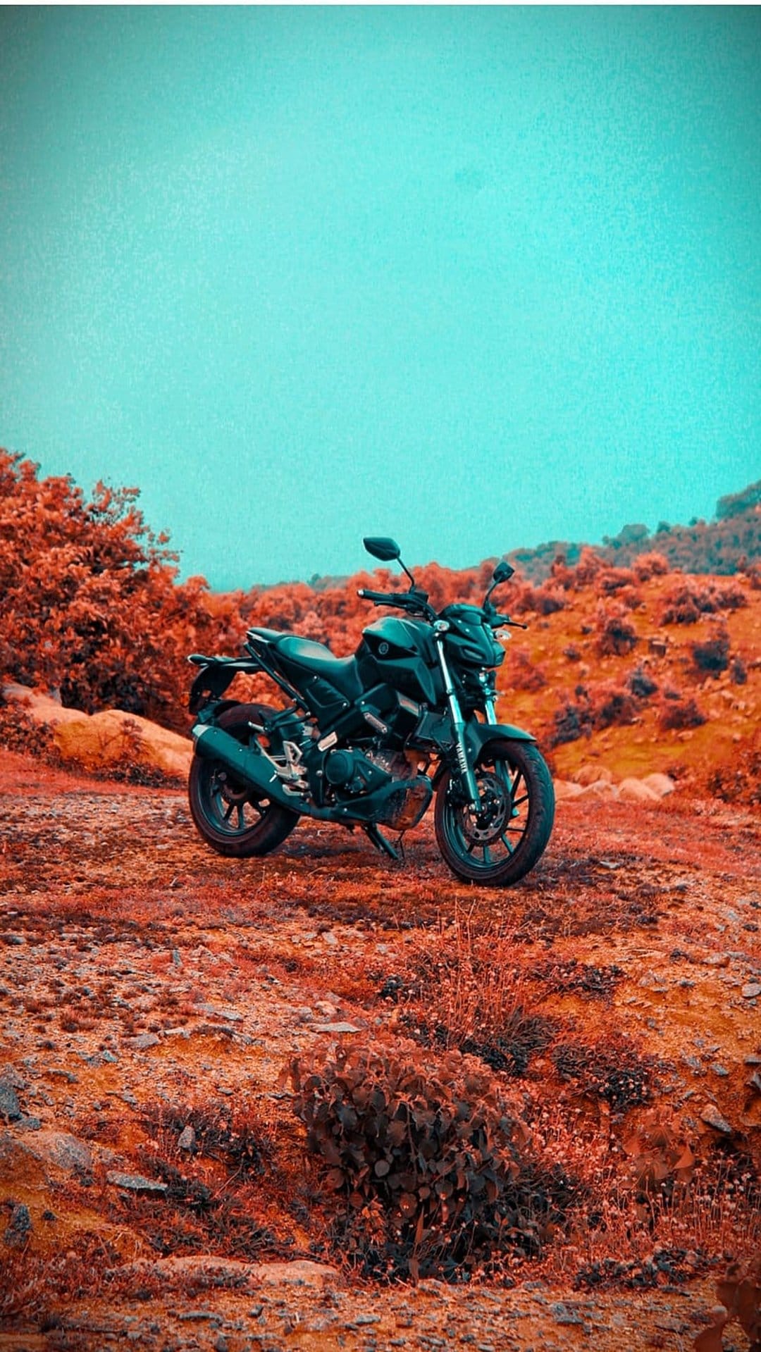 Black sport motorcycle parked on orange boulders beneath a teal sky and red trees in a high-contrast landscape.