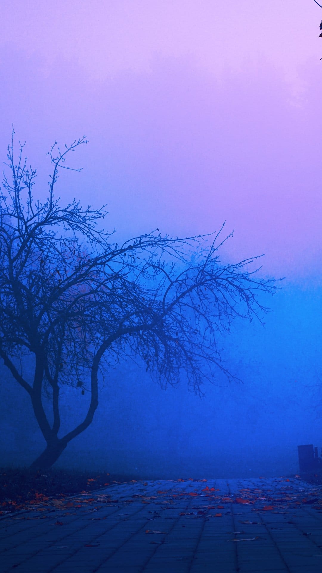 Bare-branched tree silhouetted against glowing blue and purple mist beside a fading asphalt sidewalk.