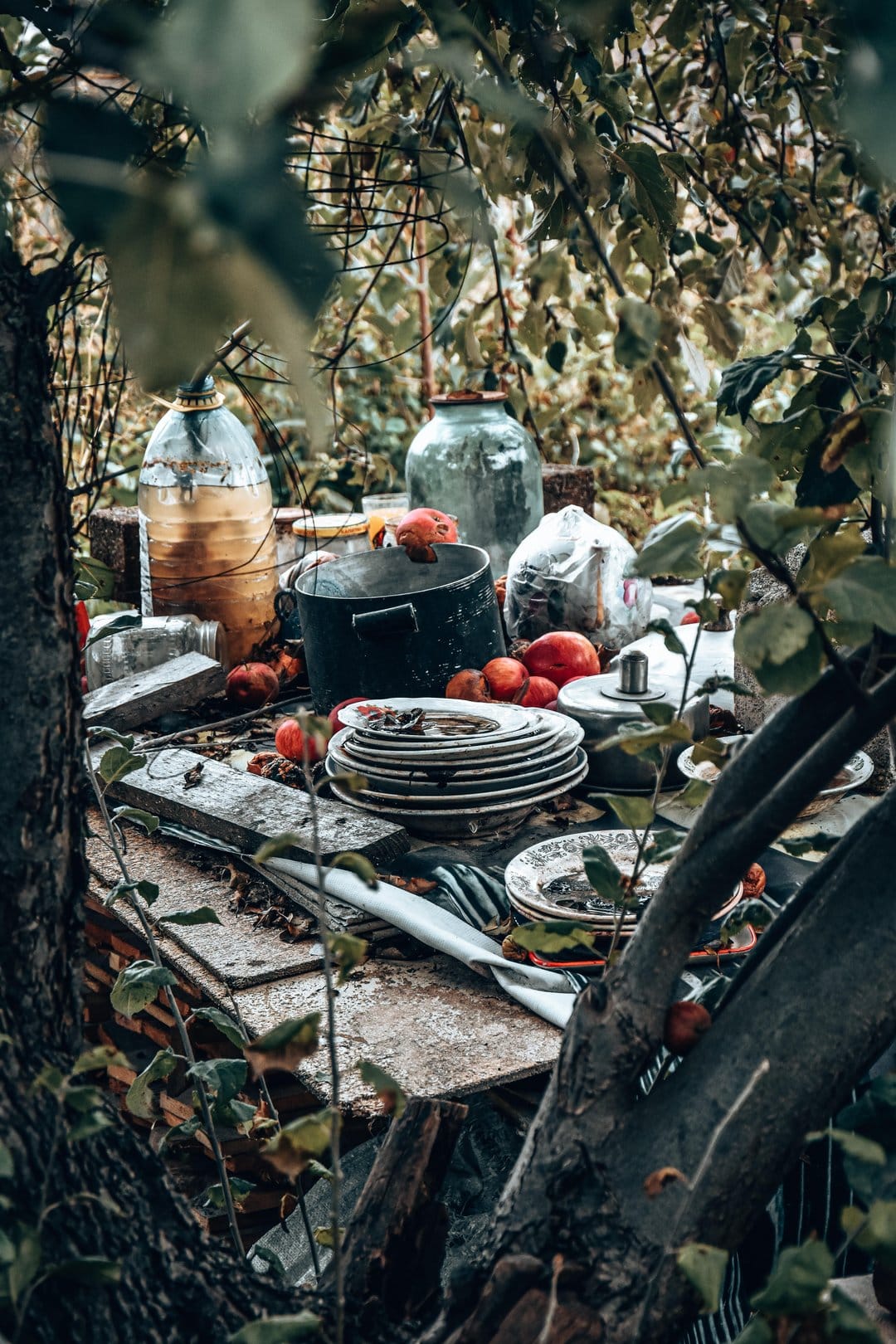 Vintage glass jars and stacked ceramic plates sit on a weathered wooden table surrounded by overgrown green leaves.