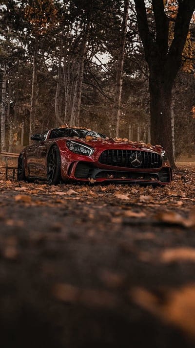 Low Profile Merc, mercedes, amg, gt, car, supercar, sports, america, new, red, mobile wallpaper, android wallpaper, iPhone wallpaper, phone wallpaper