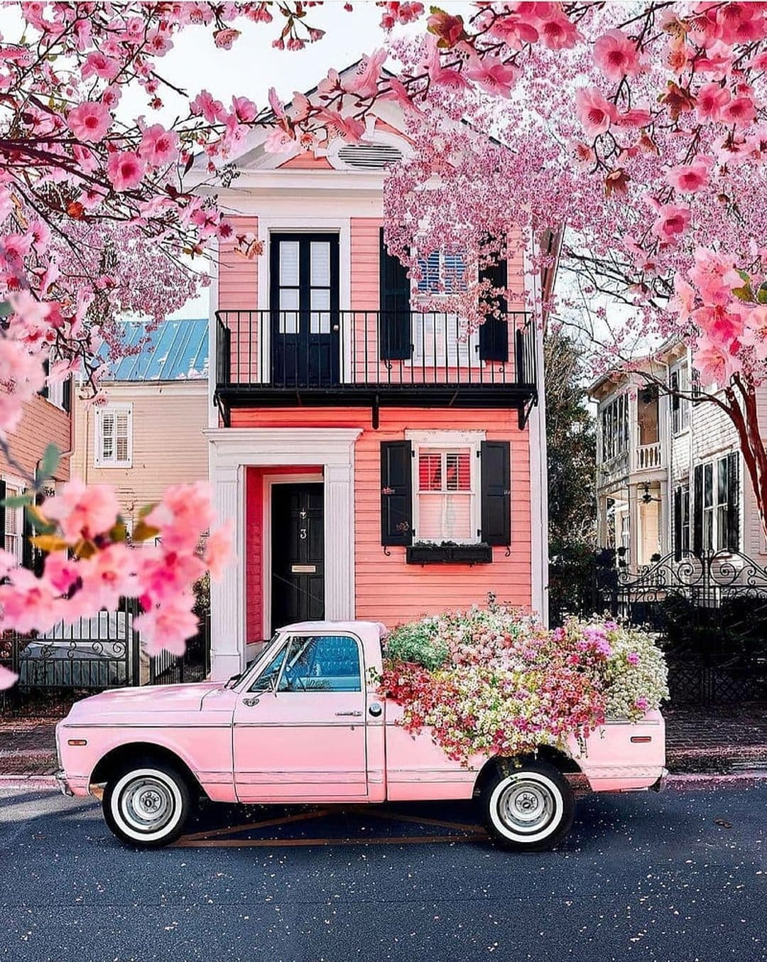 Vintage pink pickup truck filled with colorful flowers parked by a pastel house and blooming cherry trees.