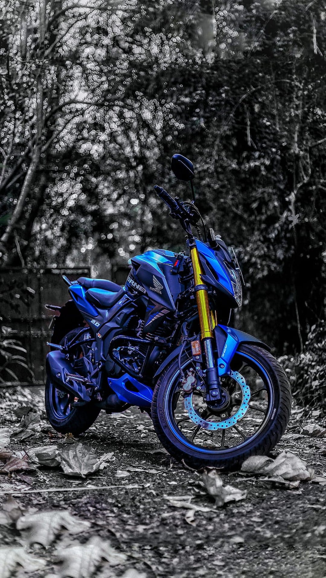 Blue Honda Hornet motorcycle parked on a forest floor covered in brown leaves surrounded by dense green trees.