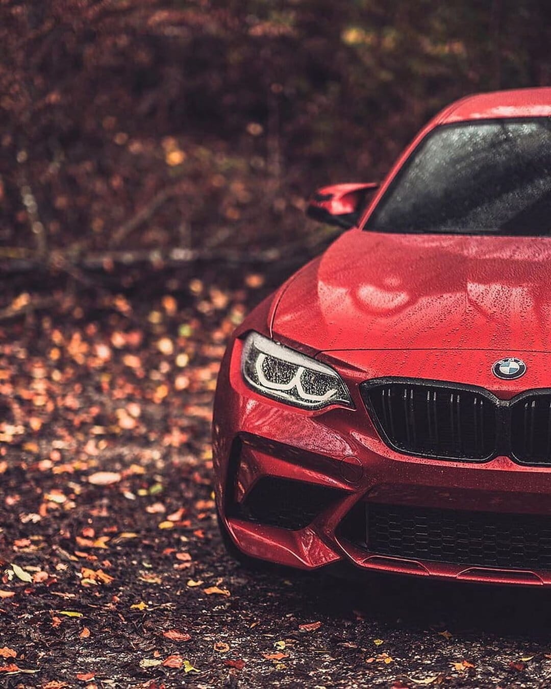 Red BMW M2 front grille and headlights on a wet forest path covered in orange autumn leaves during daytime.