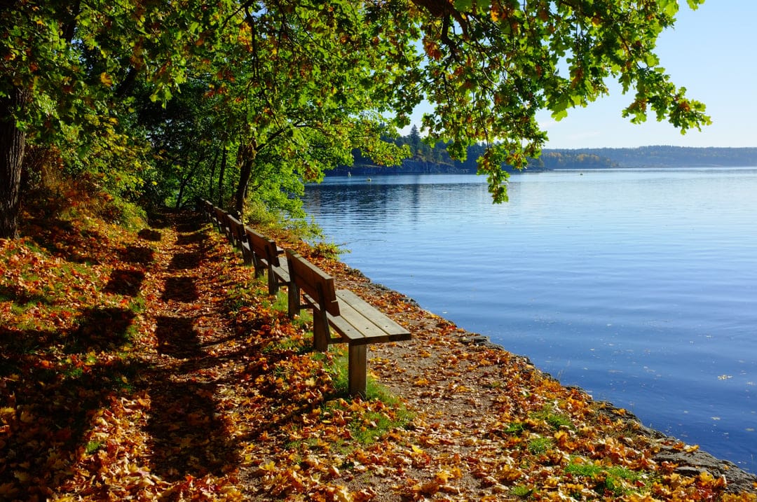 Wooden park bench surrounded by orange autumn leaves near a still lake under dappled sunlight in a forest.