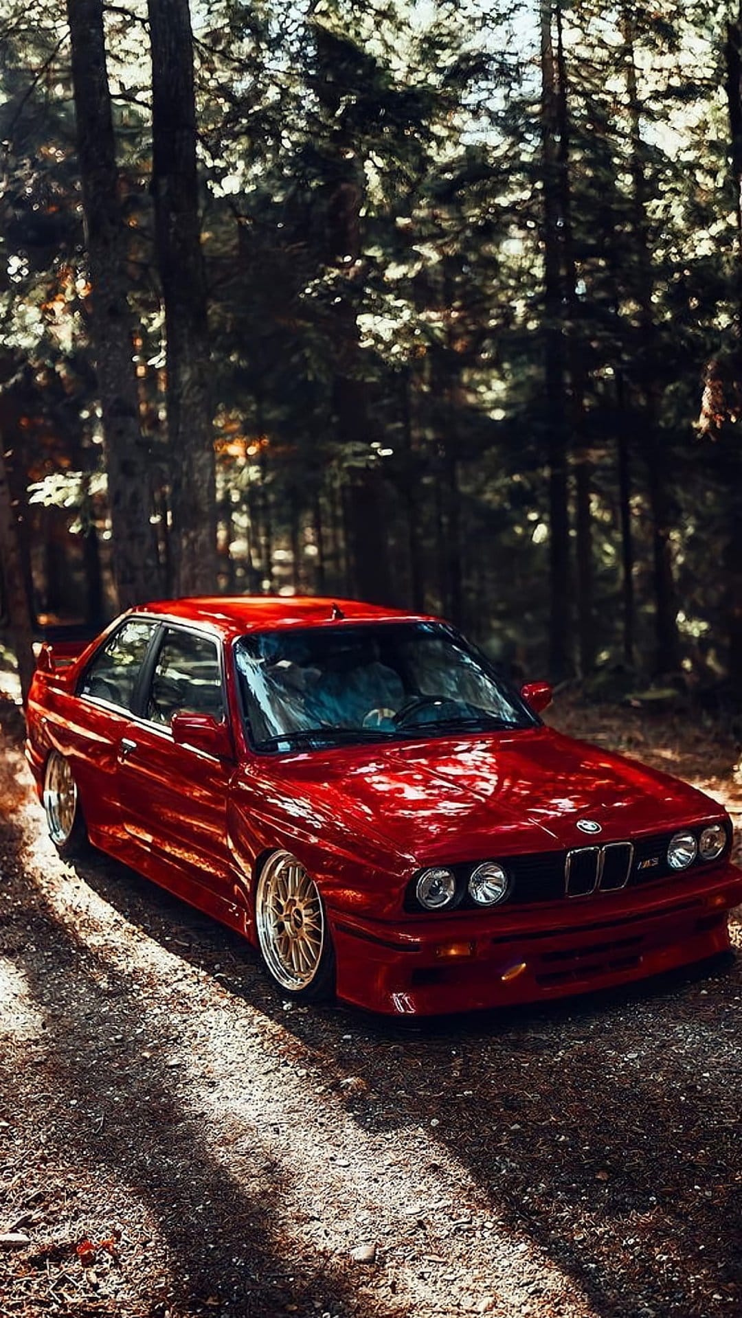 Red BMW E30 M3 with gold rims on a dirt road in a forest with sunlight filtering through tree branches.