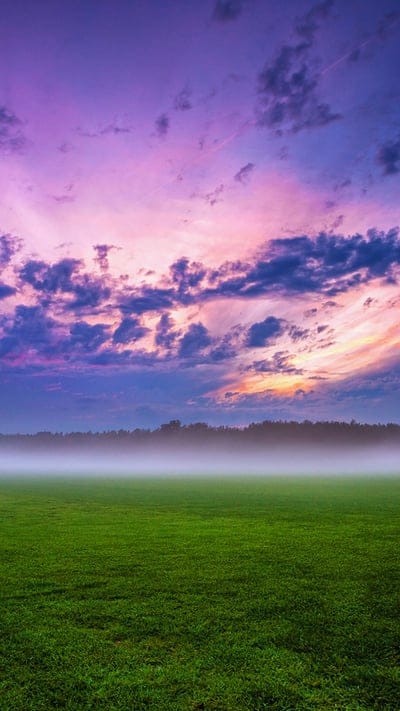 Field, sky, nature, landscape, peaceful, serene, tranquil, beautiful, outdoor, mist, fog, green, purple, pink, sunset, vibrant, clouds, atmospheric, vast, tranquil scene