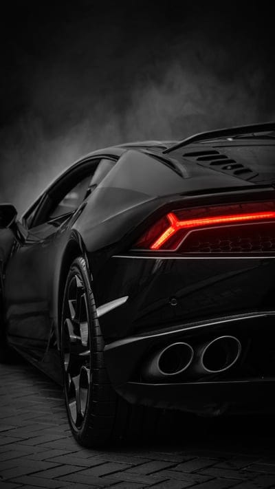 sports car,bumper,black,rear view