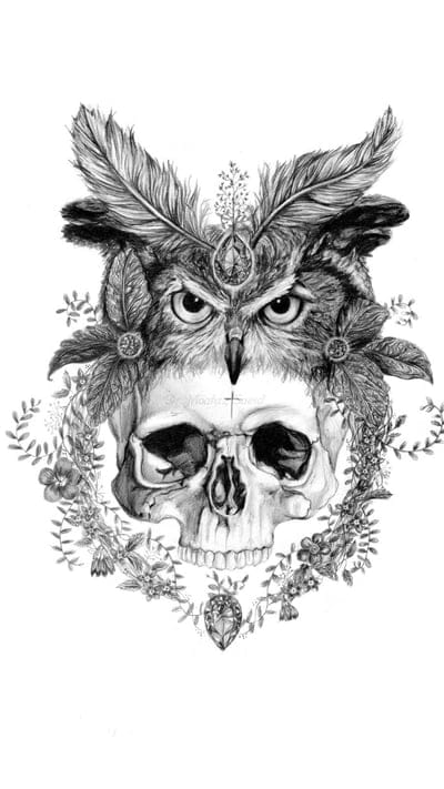 OwlSkull,cool,day,dead,gang,skull,skulls
