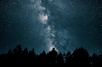 Starry sky,Starry sky wallpaper,iPhone wallpaper,forest sky,stars