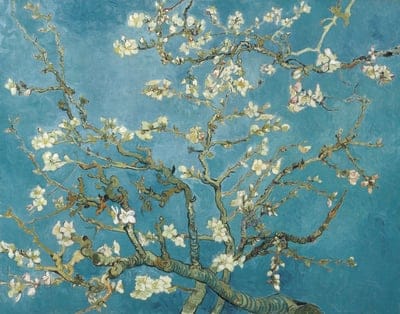 van gogh almond almond blossom,vintage almond botanical illustration,van gogh,gogh almond,almond blossom