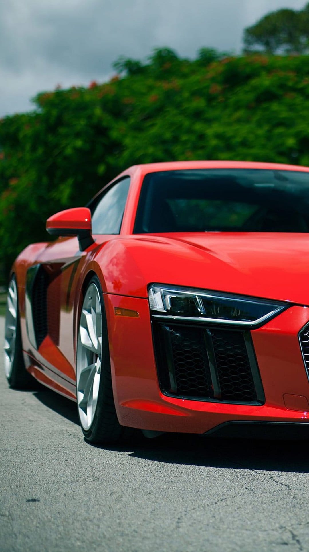 Red Audi R8 sports car featuring a honeycomb grille and silver wheels parked outdoors on gray asphalt road.