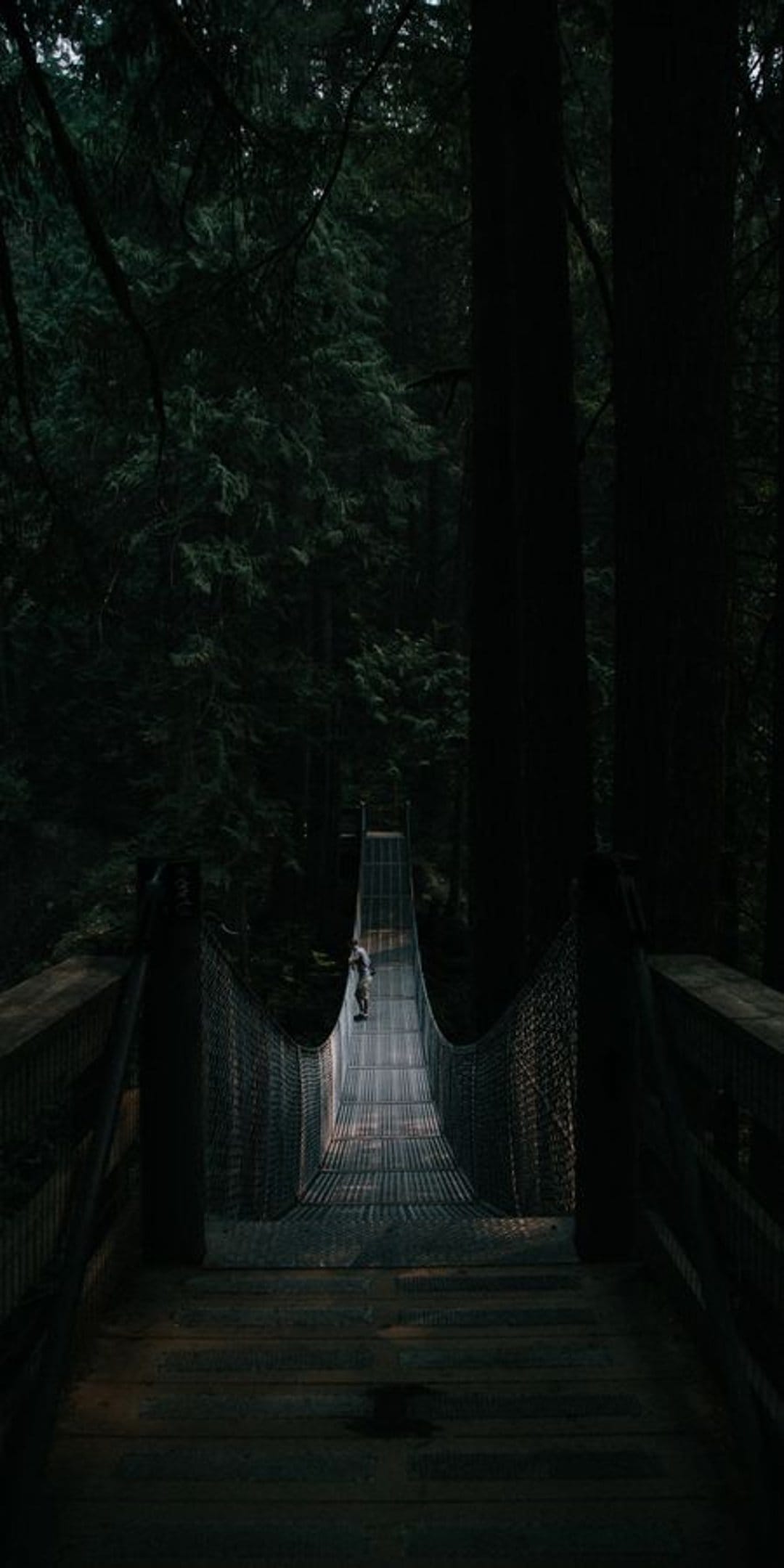 Suspension bridge stretching into a dense, dark forest with towering trees and low-hanging mist in soft light.