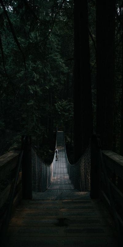 Dark forest, Suspension bridge, Mysterious, Deep woods, Nature, Adventure, Woodland, Secluded, Outdoor, Forest path, Eerie, Bridge, Natural beauty, Tranquil, Solitary, Greenery, Enigmatic, Wilderness, Exploration, Tall trees