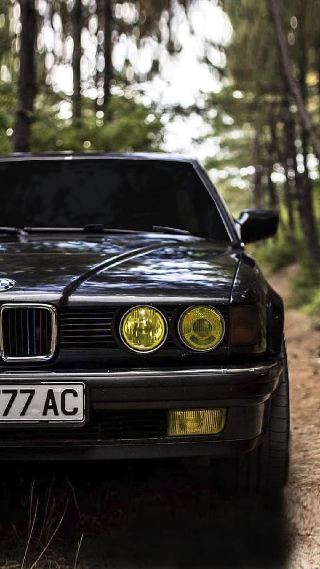 Classic black BMW E30 with round yellow headlights parked on a dirt forest road under soft dappled sunlight.