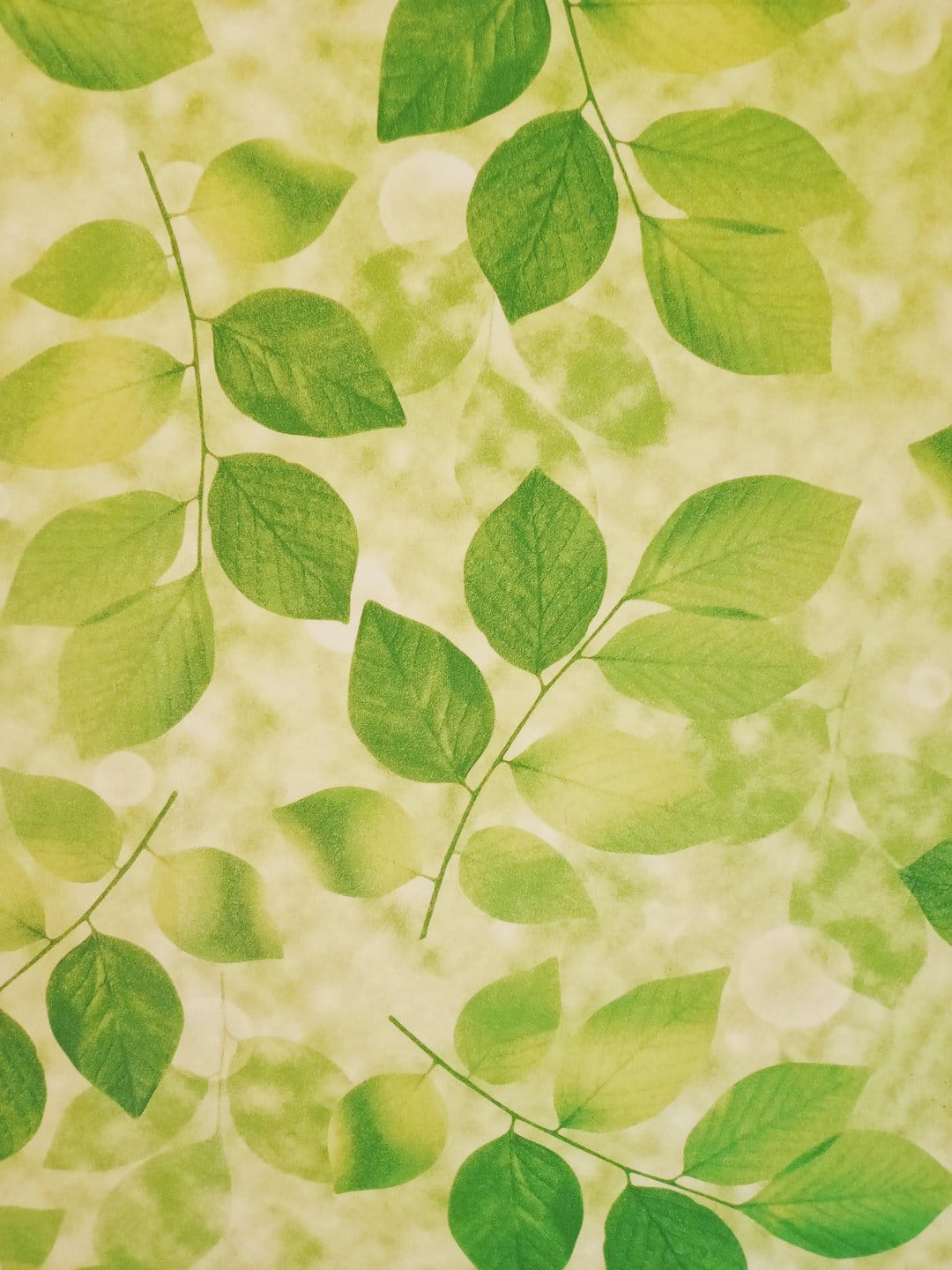 Vibrant green leaves on thin branches overlap against a soft, textured background with subtle light spots.