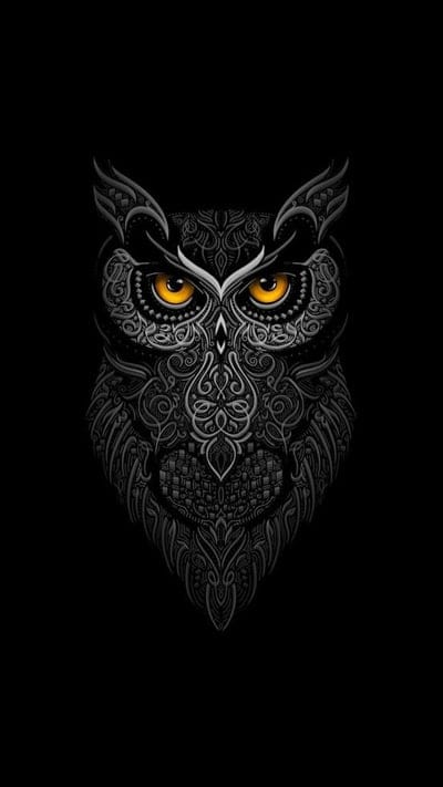 Owl, animal, bird