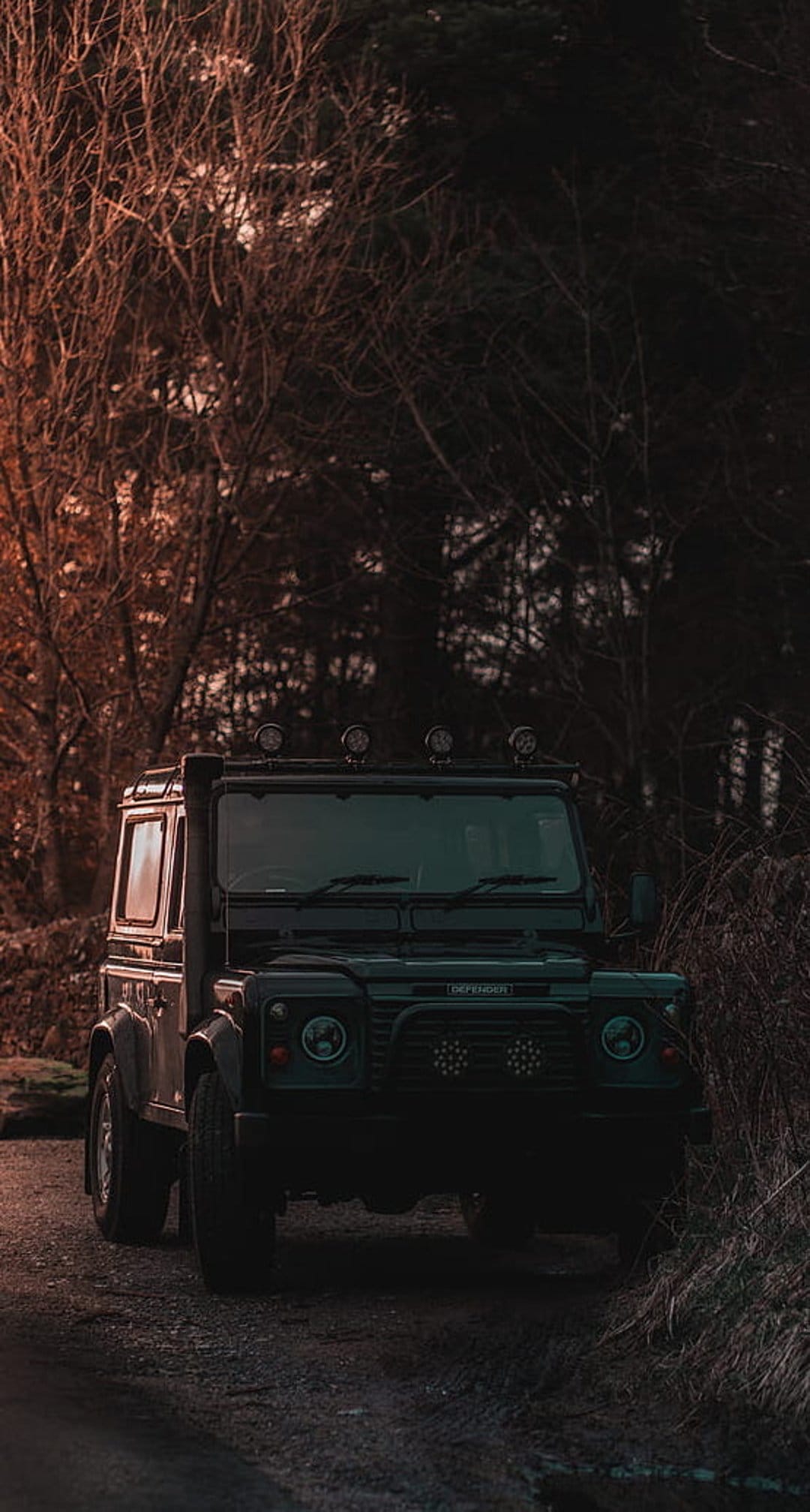 Black Land Rover Defender SUV on a gravel road surrounded by bare autumn trees under a warm golden hour sky.