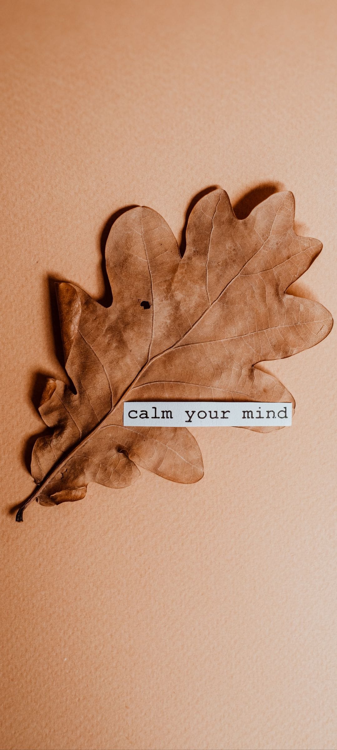 Dried brown oak leaf with a white paper strip reading calm your mind over a rustic orange textured surface.