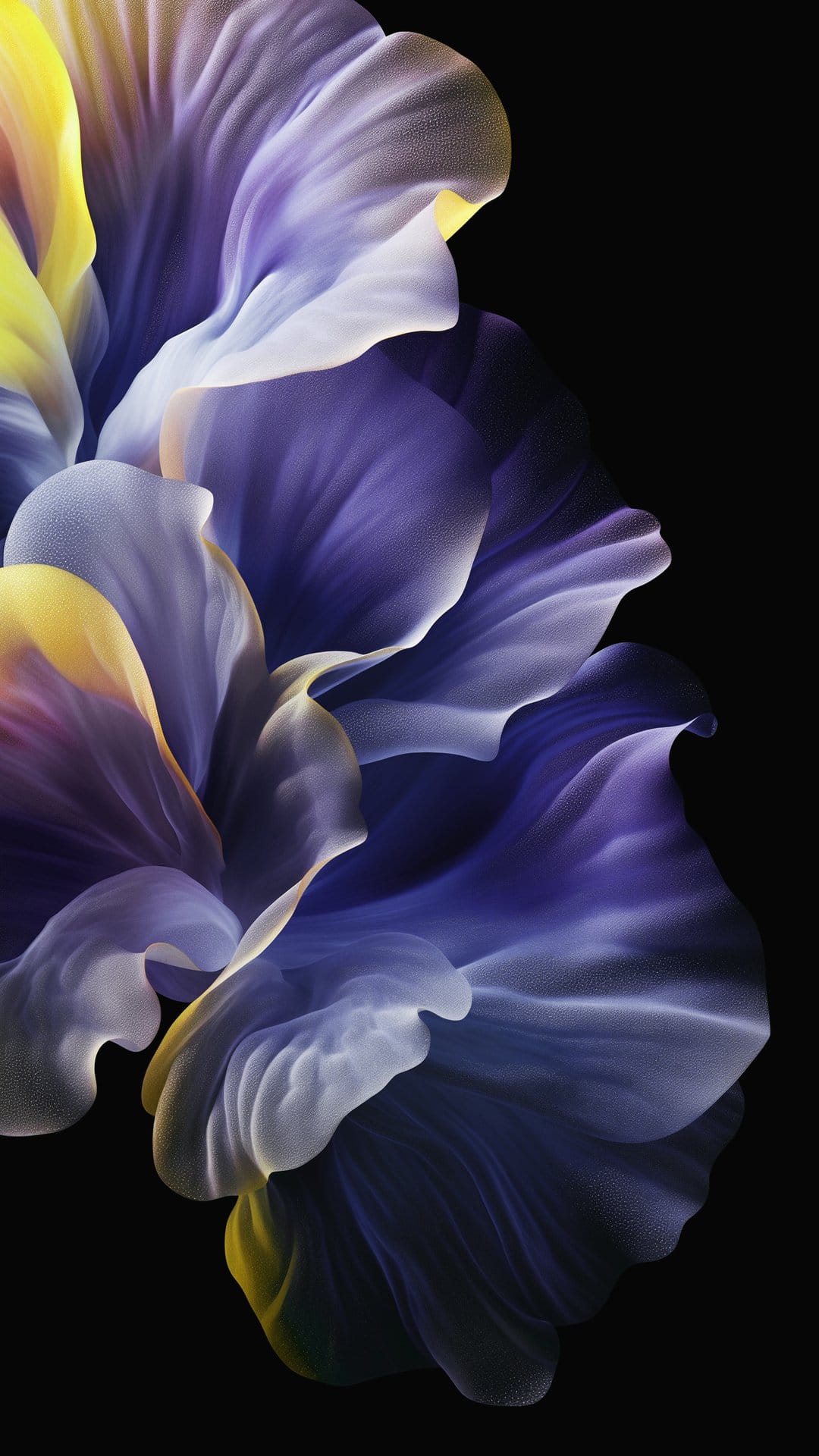 Glowing purple and yellow flower petals with intricate textures and white edges against a solid black background.