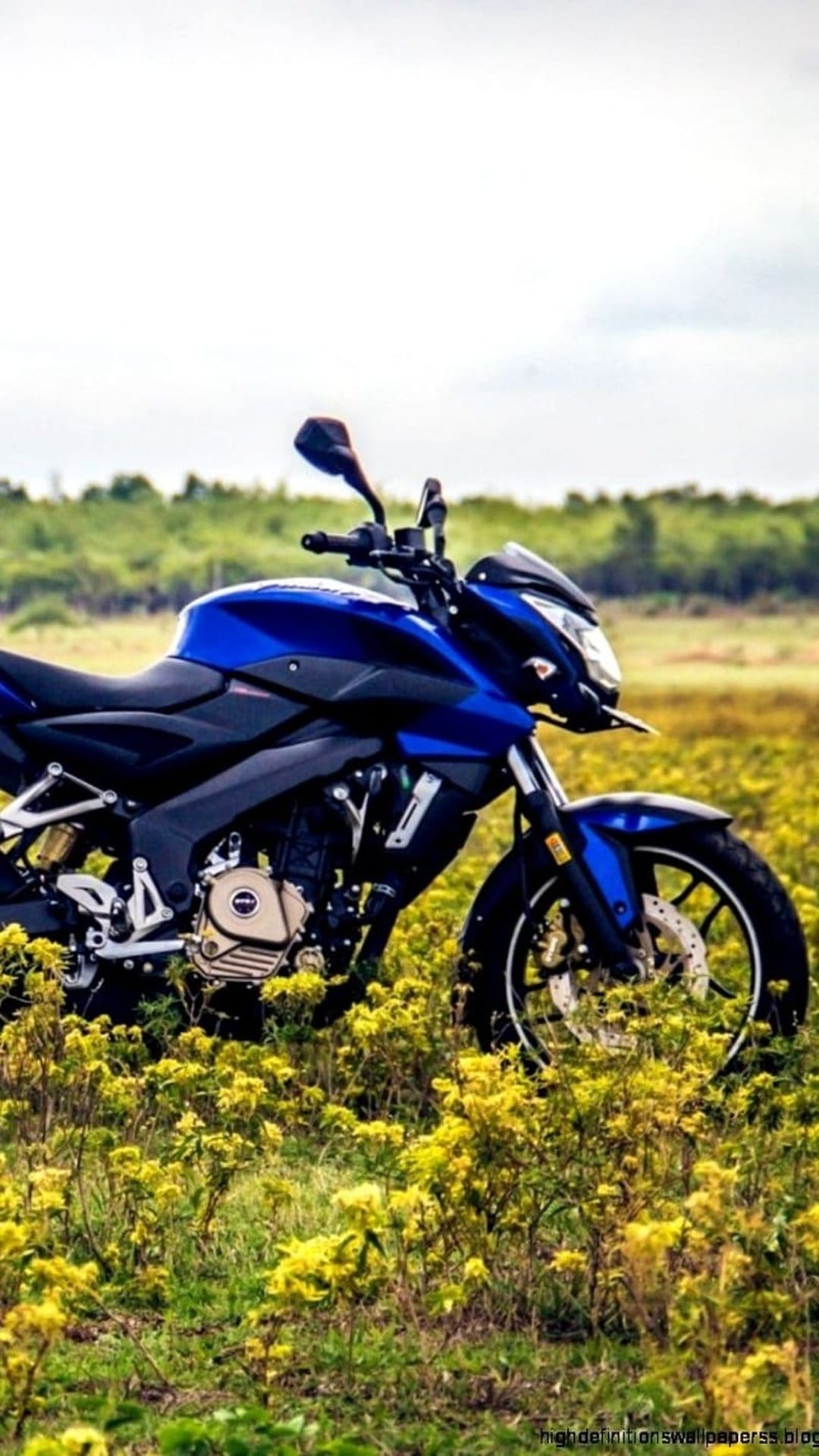 Blue sport motorcycle parked in a dense field of small yellow wildflowers under a soft, cloudy overcast sky.