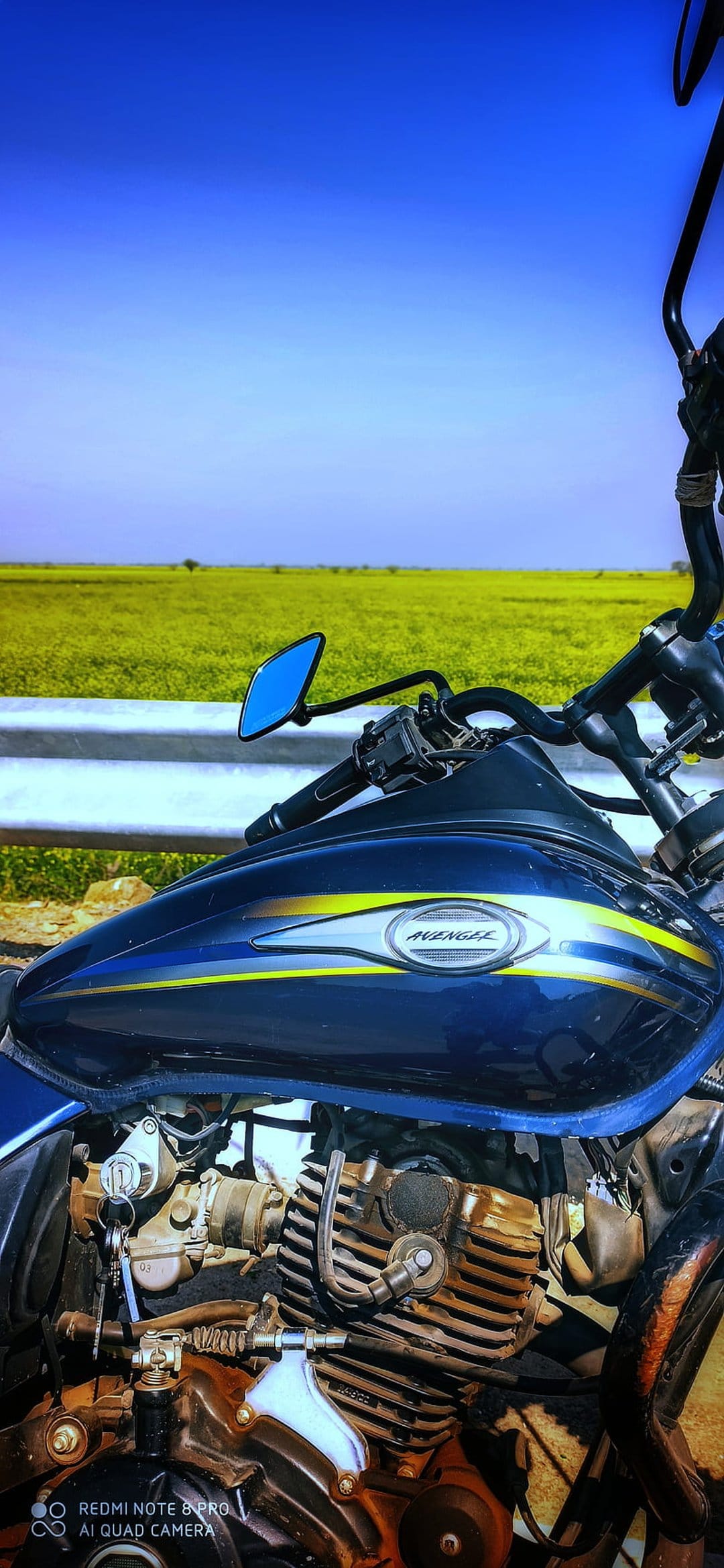 Blue Bajaj Avenger motorcycle with chrome engine parked in a dense field of yellow flowers under a clear blue sky.