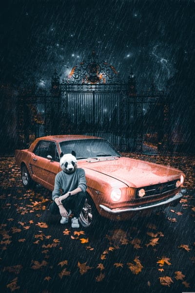 Photoshop,sky background,background,nature,fantastic,car wallpapers,fantasy,sky,rain,beautiful wallpaper,panda,night sky,human,car,machine,autumn,leaves,asphalt,surrealism,night