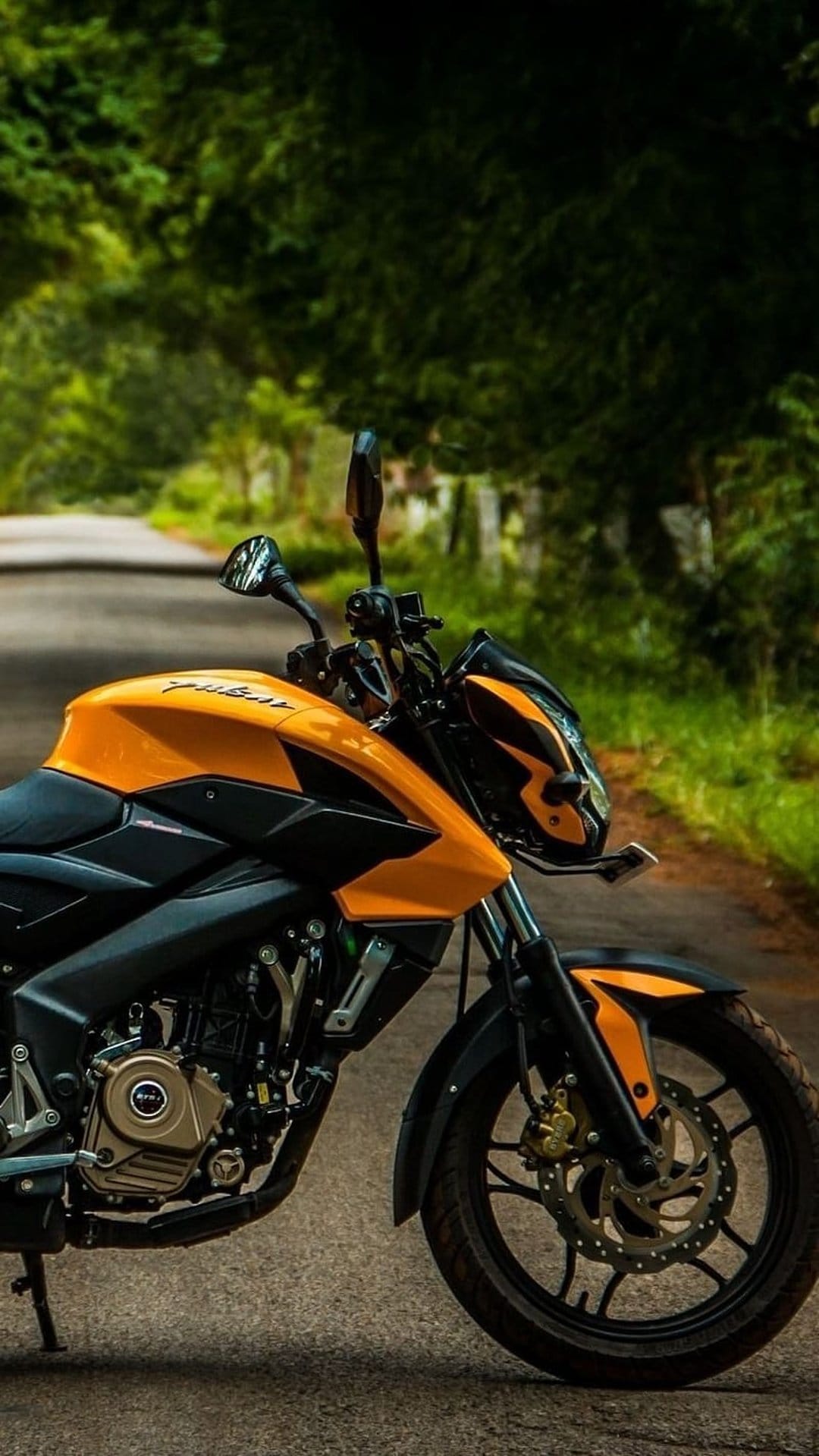 Orange and black sportbike motorcycle parked on a paved forest road surrounded by dense green trees and foliage.