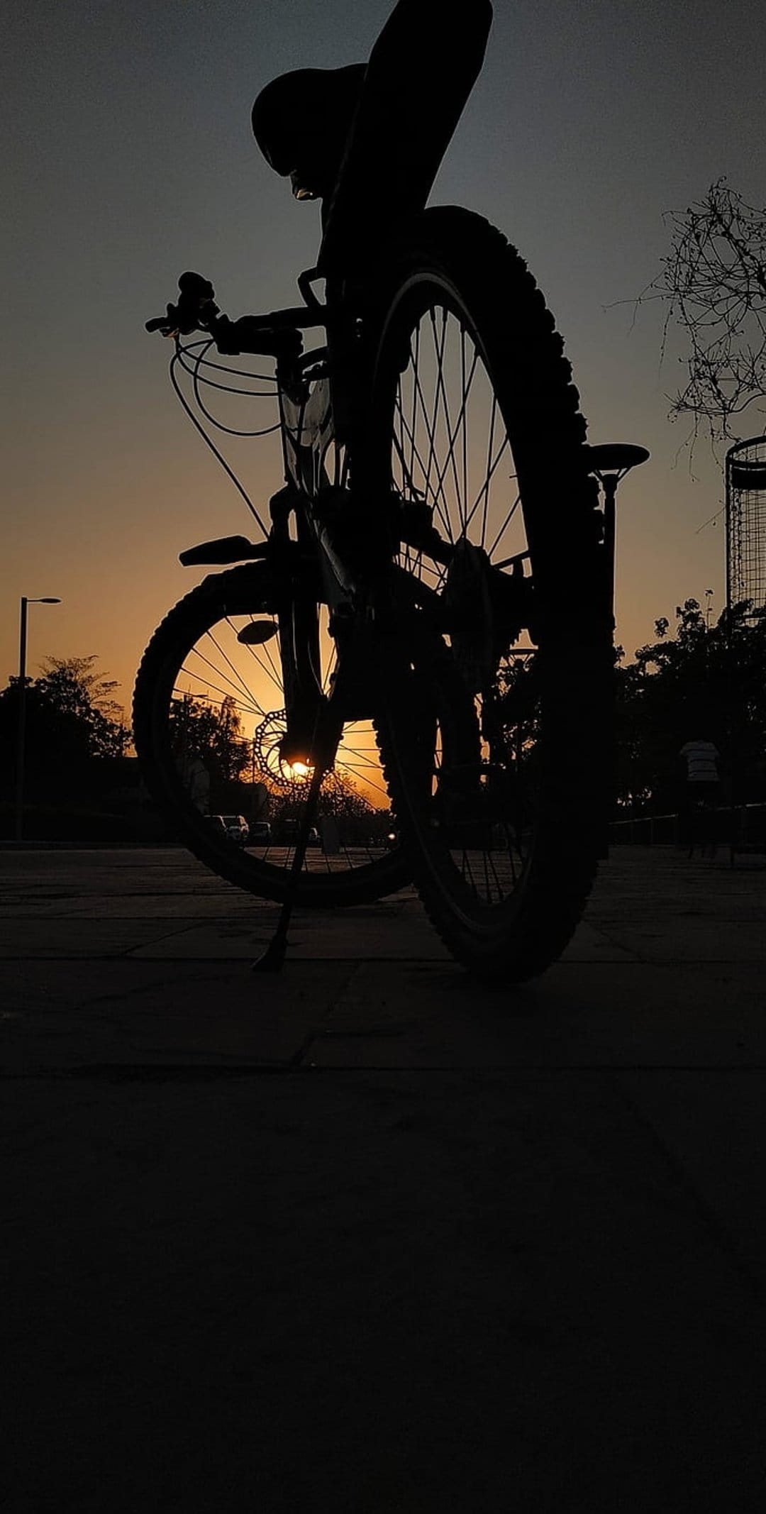 Bicycle silhouette with sun flare through disc brakes and spokes against an orange golden hour sky and trees.
