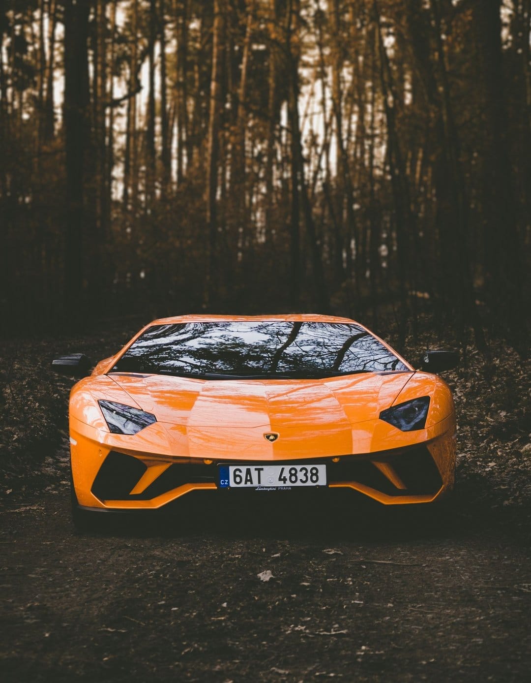 Orange Lamborghini Aventador on a dirt forest path surrounded by dark trees under moody atmospheric lighting.