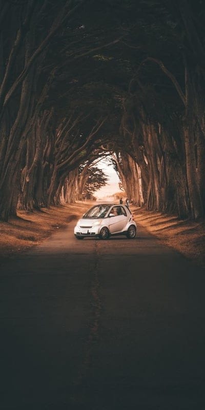 smartfortwo,whitecar,cars