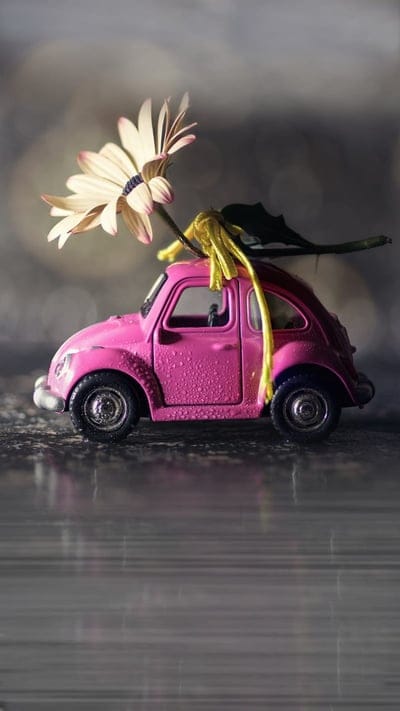 Pink car, flower, mini, toy, mobile wallpaper, android wallpaper, iPhone wallpaper, phone wallpaper