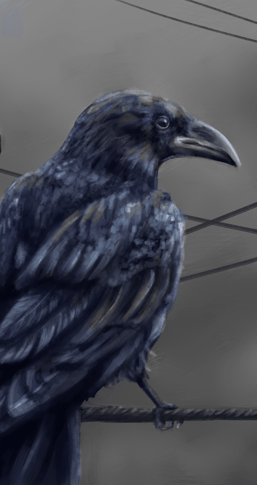 Raven with detailed black feathers and a sharp eye perches on a wire against a muted gray geometric background.