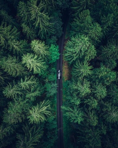 aerial view, car, trees, forest, mobile wallpaper, android wallpaper, iPhone wallpaper, phone wallpaper