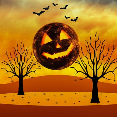 full moon,pumpkin,bats,halloween background,beautiful wallpaper,spiders,halloween,dead,trees,orange,clouds wallpaper,background