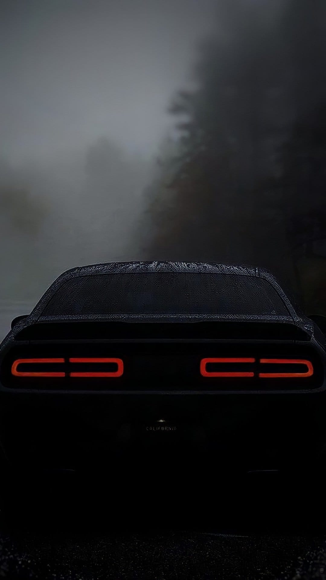 Dodge Challenger red taillights glowing through heavy fog and dark trees on a wet asphalt road at night.