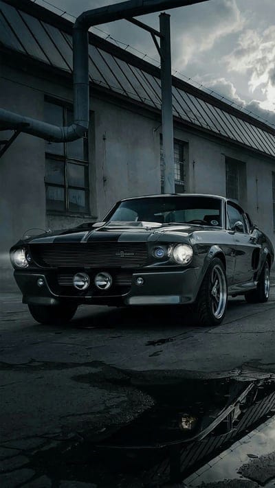 Mustang, car, ford, mant, mobile wallpaper, android wallpaper, iPhone wallpaper, phone wallpaper