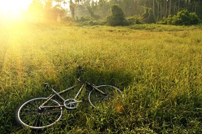 Sunshine  wallpaper,Sunshine,Sunshine  background,cyclist wallpaper